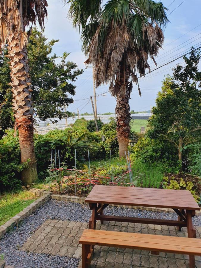 Jeju Bada Wi Olle Pension Seogwipo Esterno foto