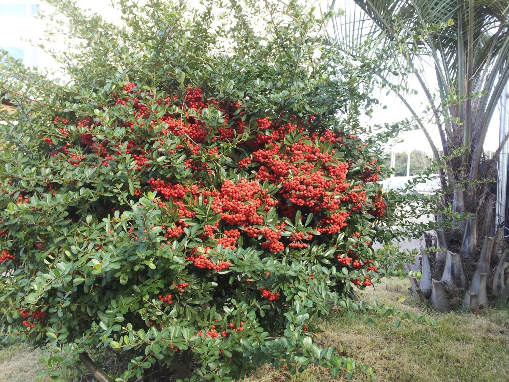 Jeju Bada Wi Olle Pension Seogwipo Esterno foto